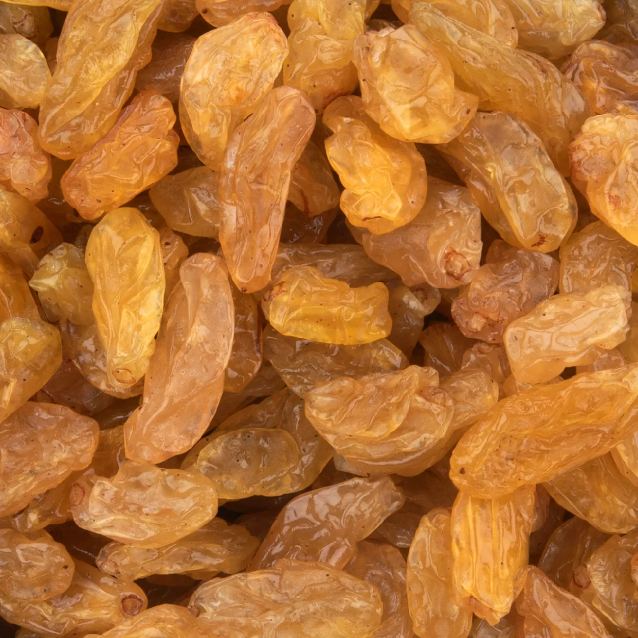 No.1 raisins supplier in india